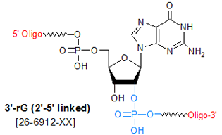 picture of 3'-rG (2'-5' linked)